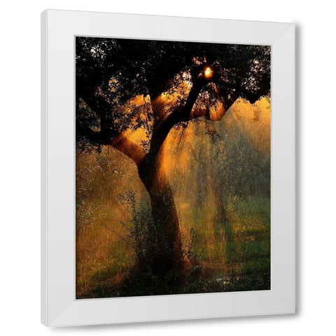 light shower White Modern Wood Framed Art Print by Castoldi, Stefano