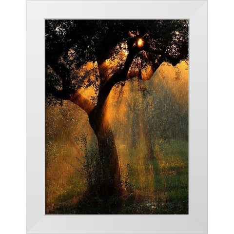 light shower White Modern Wood Framed Art Print by Castoldi, Stefano