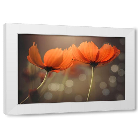 Friends White Modern Wood Framed Art Print by Thien Vu, Vu