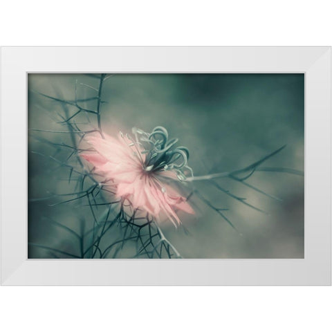 The virgin White Modern Wood Framed Art Print by Westum, Heidi