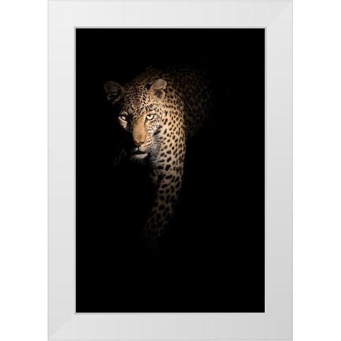 Out of the darkness White Modern Wood Framed Art Print by Guijt, Richard