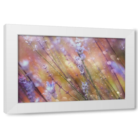 Something Magical White Modern Wood Framed Art Print by Devos, Delphine