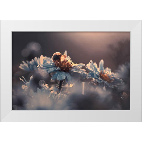 Riding Zone White Modern Wood Framed Art Print by Bravin, Fabien