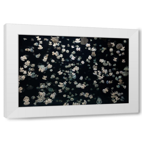 Just some Jellies White Modern Wood Framed Art Print by Graf, Sebastian
