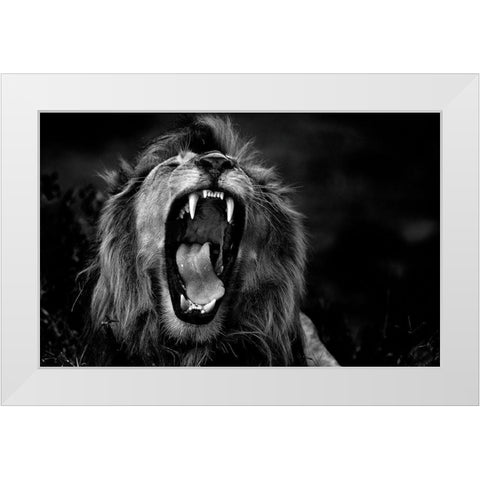 Untitled White Modern Wood Framed Art Print by Damico, Giuseppe