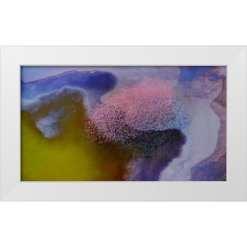 Incredible colors White Modern Wood Framed Art Print by Chang, Phillip