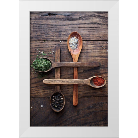 Spices White Modern Wood Framed Art Print by Karina, Aleksandrova