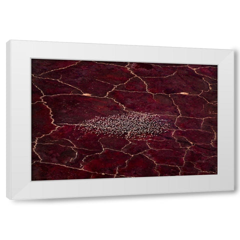 Red Planet White Modern Wood Framed Art Print by Fan, John