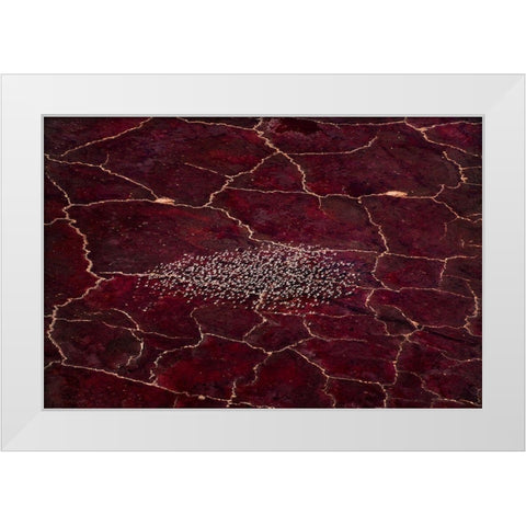 Red Planet White Modern Wood Framed Art Print by Fan, John