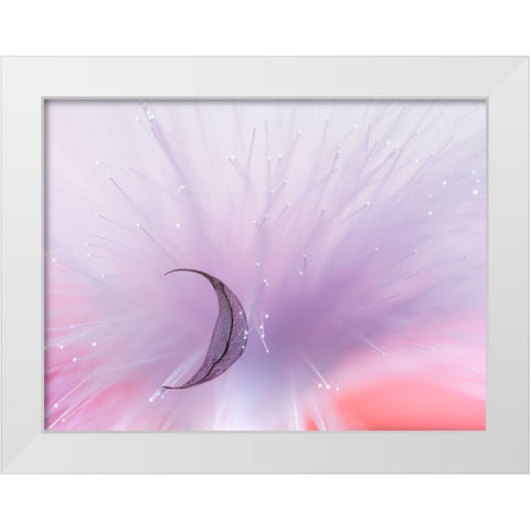 Untitled White Modern Wood Framed Art Print by Selezenev, Konstantin