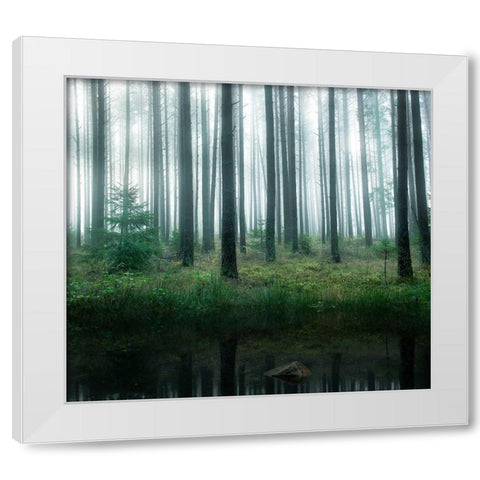 Lake in forest White Modern Wood Framed Art Print by Lindsten, Christian