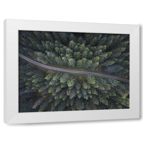 Small road through the forest White Modern Wood Framed Art Print by Lindsten, Christian