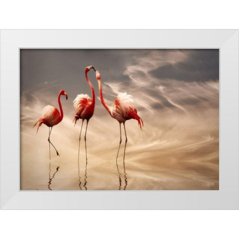 fighting White Modern Wood Framed Art Print by Cseresnjes, Anna