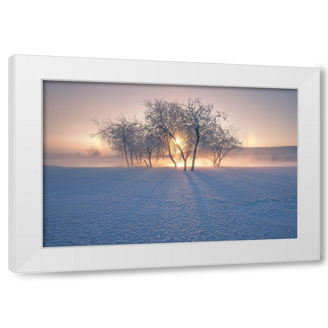 Swan Lake White Modern Wood Framed Art Print by Z, Bingo