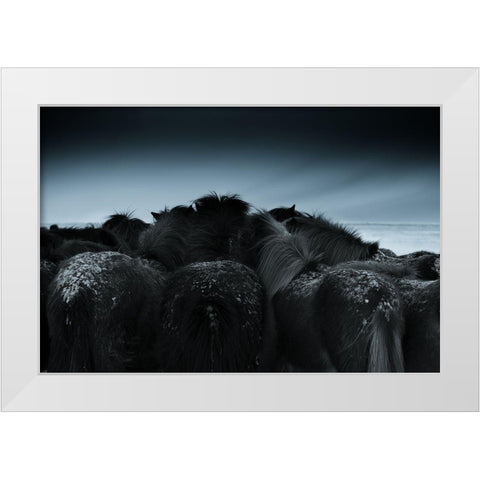 Cold weather White Modern Wood Framed Art Print by Z, Bingo