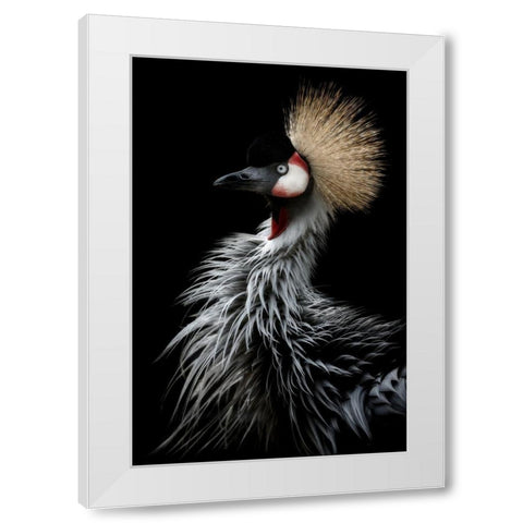 Crowned cranes portrait White Modern Wood Framed Art Print by Itoyama, Eiji