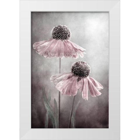Duet White Modern Wood Framed Art Print by Disher, Mandy