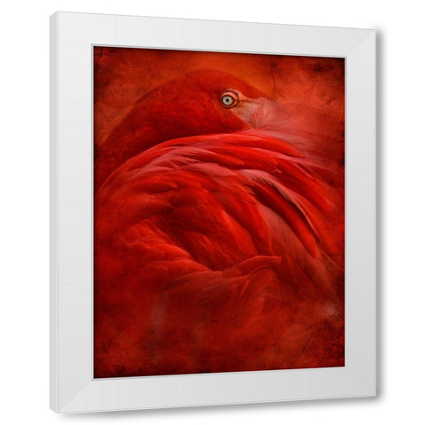 tropical White Modern Wood Framed Art Print by Hummel, Jeffrey