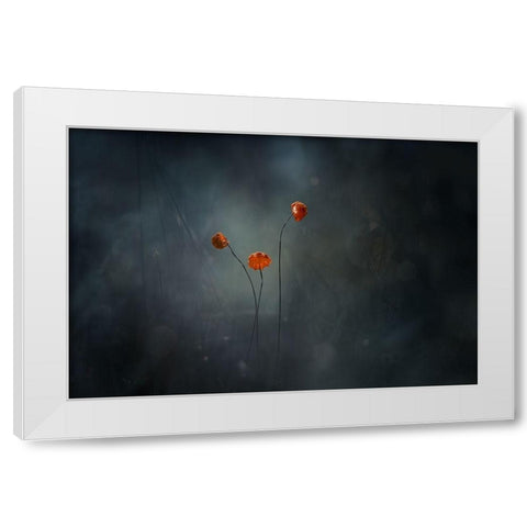 Little Mushrooms White Modern Wood Framed Art Print by Gapur Dayak, Abdul