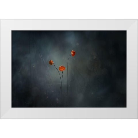 Little Mushrooms White Modern Wood Framed Art Print by Gapur Dayak, Abdul