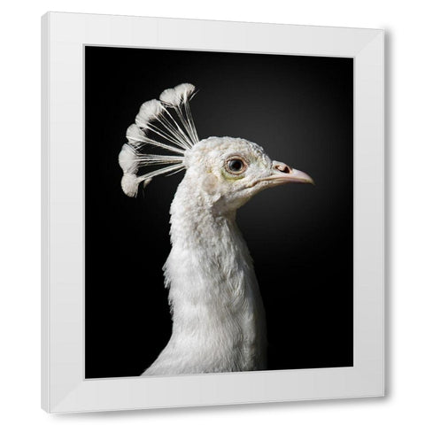 M A J E S T I C White Modern Wood Framed Art Print by Fegari