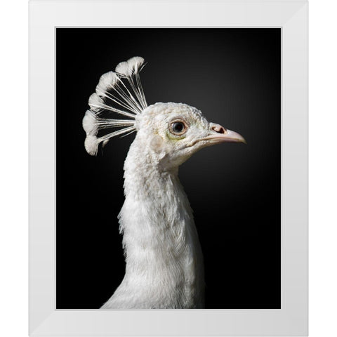 M A J E S T I C White Modern Wood Framed Art Print by Fegari