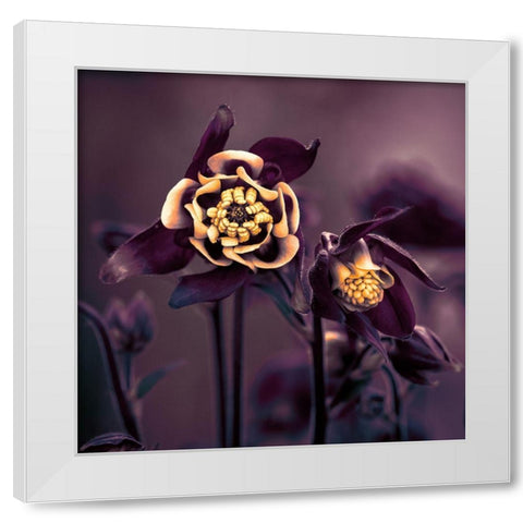 Priviliged White Modern Wood Framed Art Print by Kiral, Cicek