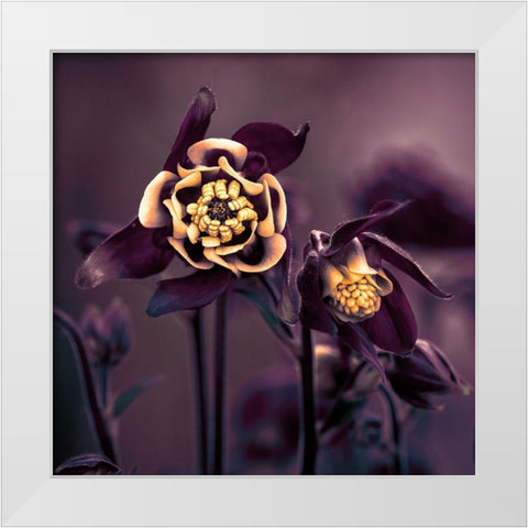 Priviliged White Modern Wood Framed Art Print by Kiral, Cicek