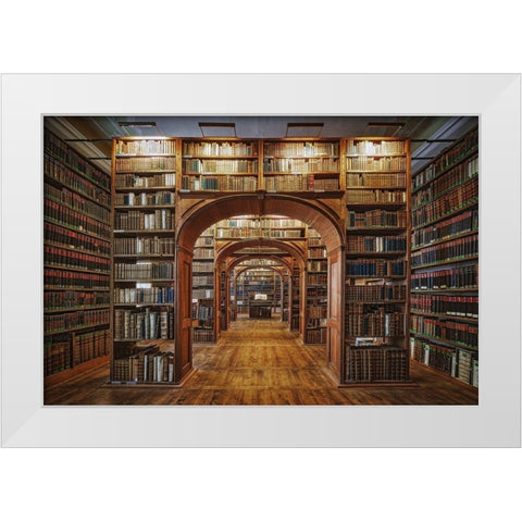 Upper Lausitzian Library of Sciences White Modern Wood Framed Art Print by Aurednik, Patrick