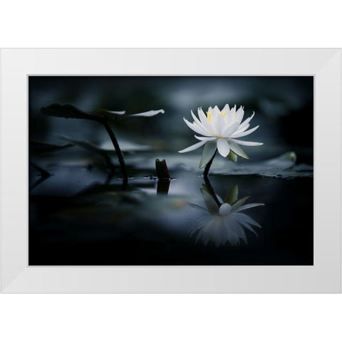 Reflection White Modern Wood Framed Art Print by Suzuki, Takashi