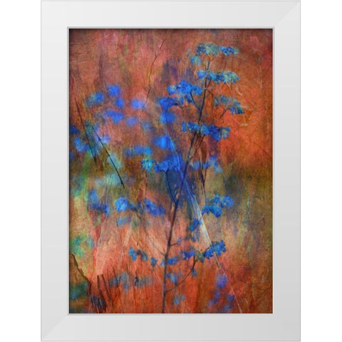 Colors Dance on Flowers White Modern Wood Framed Art Print by Devos, Delphine