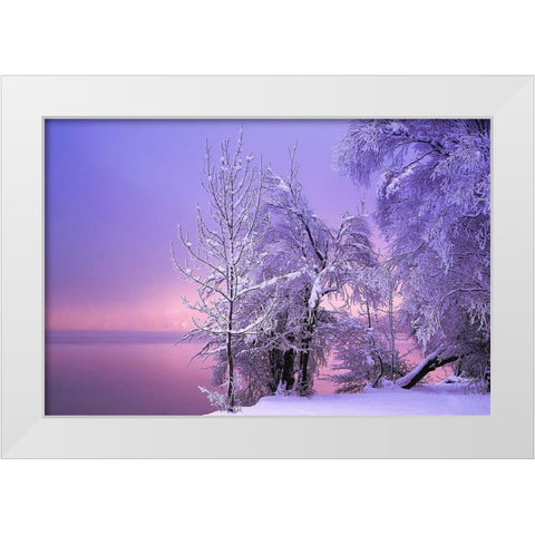 Stillness White Modern Wood Framed Art Print by Maier, Norbert