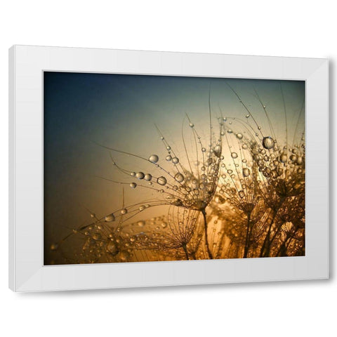 Tender is the Night White Modern Wood Framed Art Print by Lazarov, Dimitar