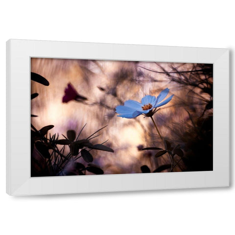 Lindifference White Modern Wood Framed Art Print by Bravin, Fabien