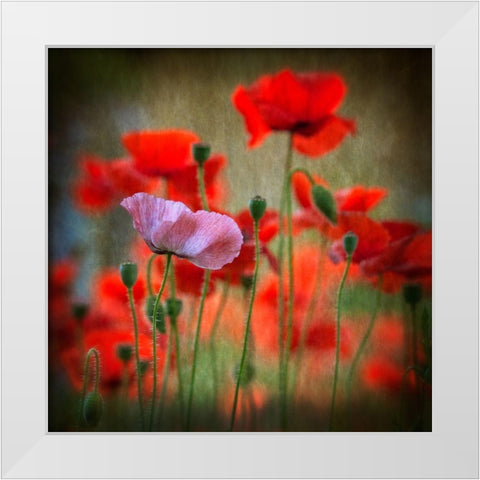 One White Modern Wood Framed Art Print by Worner, Anne