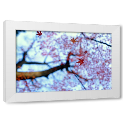 heirinji White Modern Wood Framed Art Print by Tomihisa, Kouji