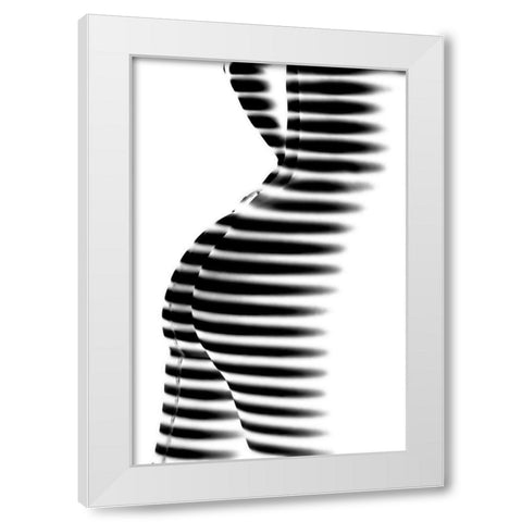 Zebra White Modern Wood Framed Art Print by P., Mato
