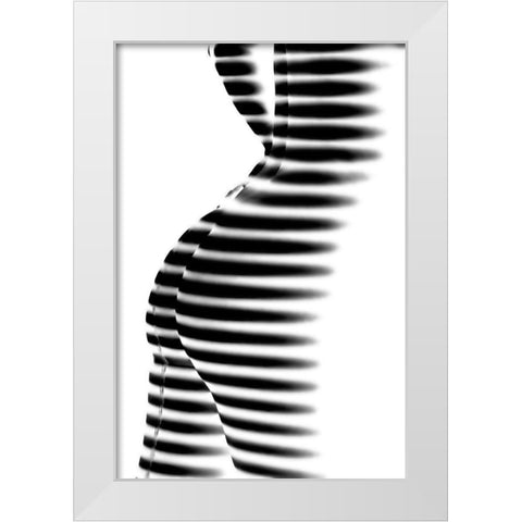 Zebra White Modern Wood Framed Art Print by P., Mato