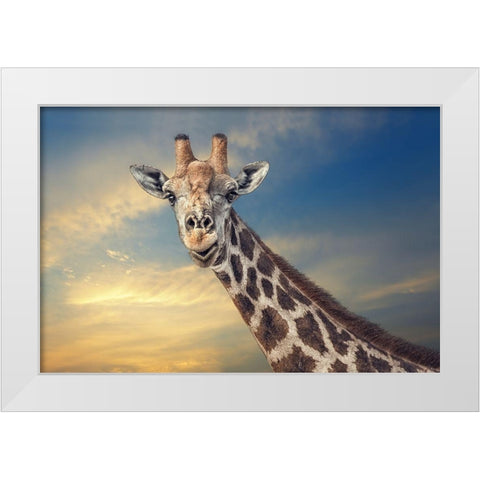 the friendly giant White Modern Wood Framed Art Print by Flour, Piet