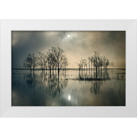 Lakes Secret White Modern Wood Framed Art Print by Joanne_Flj
