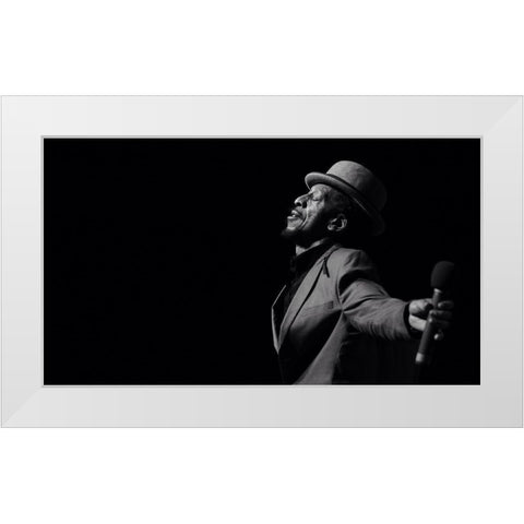 Aswad White Modern Wood Framed Art Print by Robinson, Ian