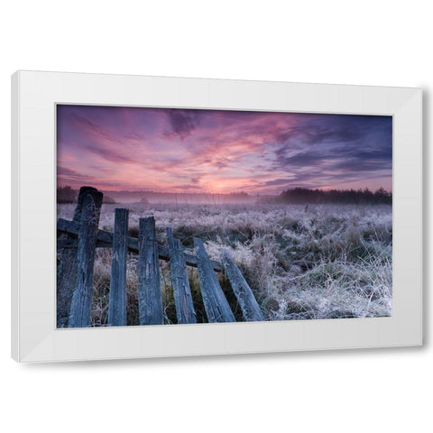 Dawn of Bialowieza Meadows White Modern Wood Framed Art Print by Lorant, Krzysztof