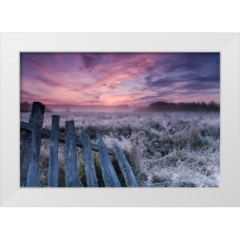 Dawn of Bialowieza Meadows White Modern Wood Framed Art Print by Lorant, Krzysztof