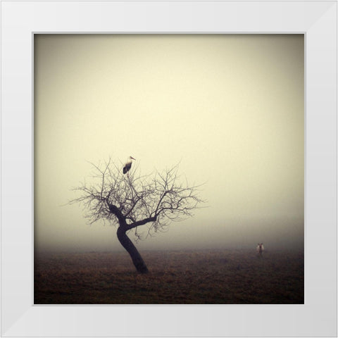 Meeting in the morning White Modern Wood Framed Art Print by Droste, Holger