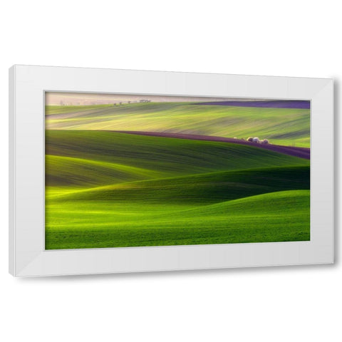 Verdant land White Modern Wood Framed Art Print by Krol (Bax), Piotr