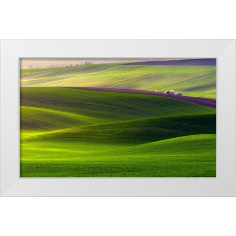Verdant land White Modern Wood Framed Art Print by Krol (Bax), Piotr
