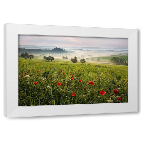 Tuscan spring White Modern Wood Framed Art Print by Rericha, Daniel