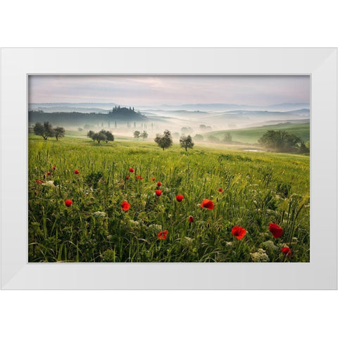 Tuscan spring White Modern Wood Framed Art Print by Rericha, Daniel