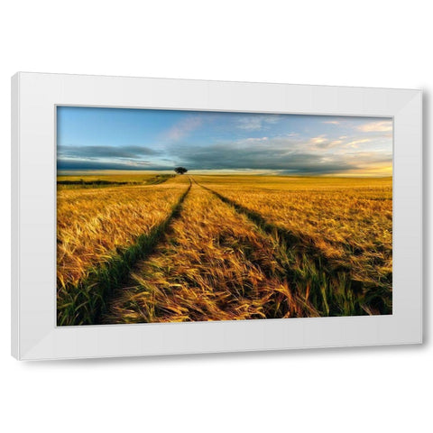 Countryside White Modern Wood Framed Art Print by Krol (Bax), Piotr