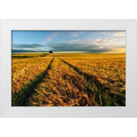 Countryside White Modern Wood Framed Art Print by Krol (Bax), Piotr